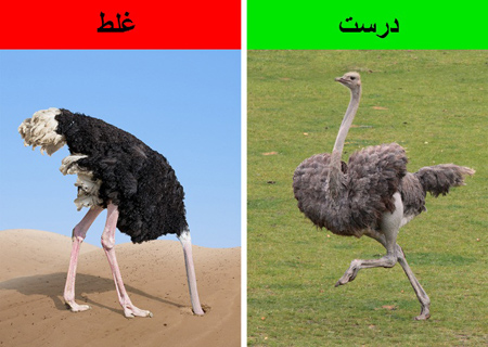 تصورات علمی نادرست, درباره انسان های اولیه