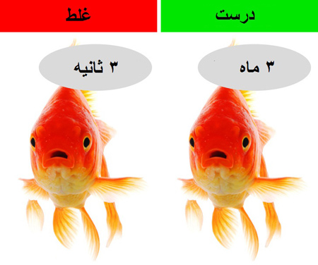 تکامل یافته ی شامپانزه ها,باورهای اشتباه علمی