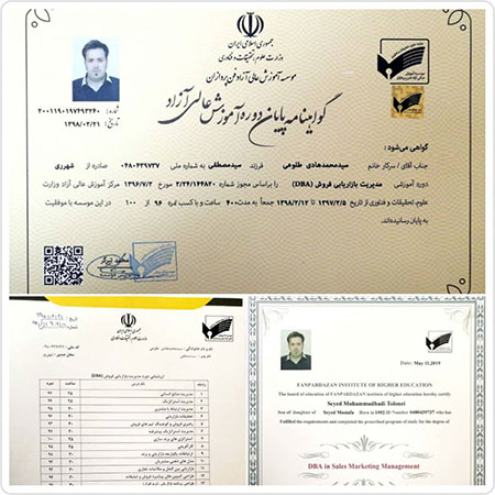 سیدمحمدهادی طلوعی سیدمحمدهادی طلوعی,بیوگرافی سیدمحمدهادی طلوعی