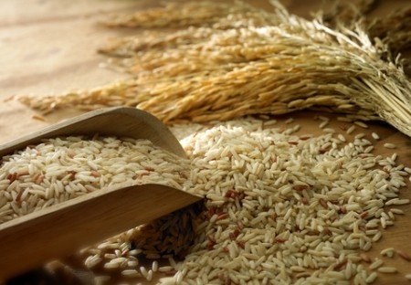 فصل کاشت برنج,نحوه کاشت برنج,فصل کاشت وبرداشت محصول برنج