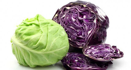 نحوه کاشت کلم بروکلی در خانه,مکان و دمای مناسب کاشت کلم