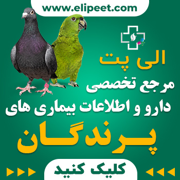 الی پت مرجع تخصصی دارو و اطلاعات بیماریهای پرندگان