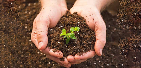 رایج ترین انواع خاک گلدان ها, مناسب ترین خاک های گلدانی, انواع خاک های گلدان آپارتمان