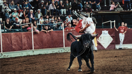 پرش از گاو,گاوبازی