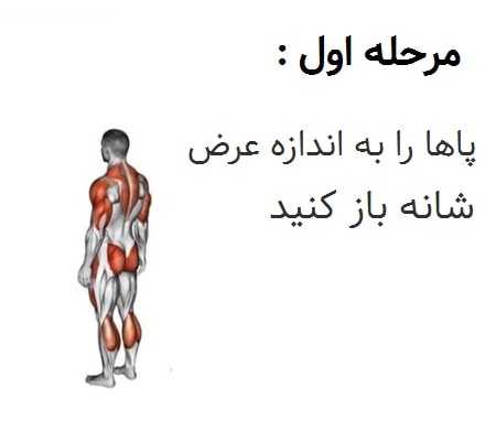 حرکت برپی نیمه, آموزش حرکت برپی, حرکت برپی مبتدی