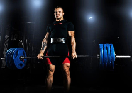 هالتر استاندارد انواع هالتر, هالتر استاندارد