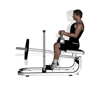 عضلات درگیر در انجام حرکت ساق پا نشسته, حرکت ساق پا نشسته بدون دستگاه, ساق پا نشسته با دستگاه