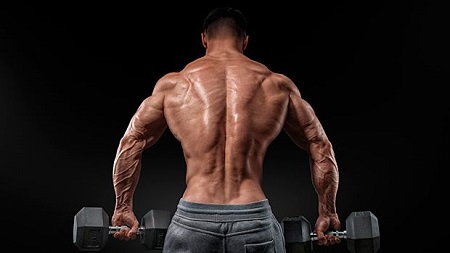 آموزش حرکات کول بدنسازی, حرکات کول و سرشانه , حرکات کول 
