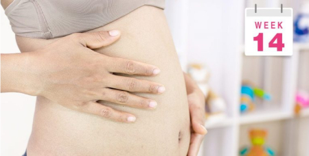 هفته چهاردهم بارداری