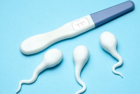حاملگی با اسپرم خشک شده روی دست, احتمال بارداری با منی خشک شده, بارداری با اسپرم خشک شده