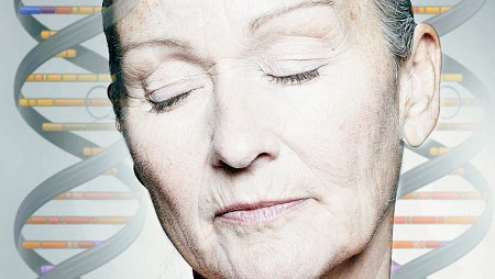 آلزایمر در سالمندان, زوال عقل در سالمندان, مشکلات حافظه در سالمندان
