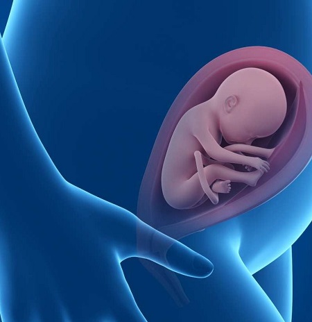  حرکات جنین, ضعیف شدن حرکات جنین, اهمیت حرکات جنین در بارداری