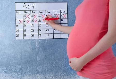 نام‌گذاری ماه‌های حاملگی, نامگذاری ماههای بارداری براساس رشد جنین