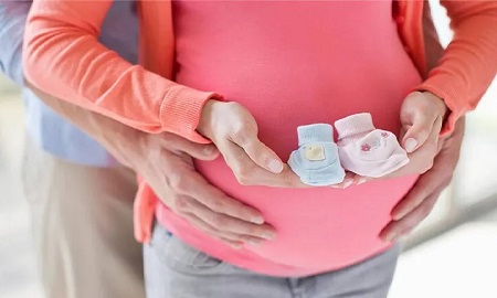روش های نامگذاری ماه های بارداری, تغییرات رشد جنین