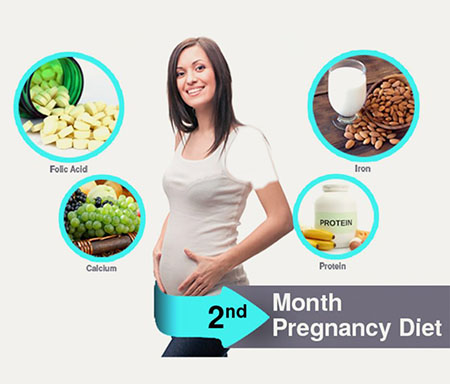 اسید فولیک برای  ماه دوم بارداری, مواد غذایی ممنوعه در ماه دوم بارداری, رژیم غذایی ماه دوم حاملگی