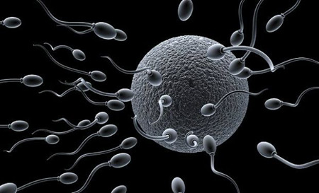 تقویت اسپرم,راههای تقویت اسپرم,تولید اسپرم