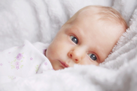 زمان‌بندی تخمک‌گذاری