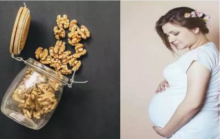 آیا گردو برای بارداری مفید است