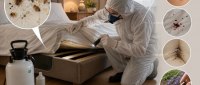 راهنمای جامع تشخیص و ریشهکنی ساس در منزل؛ از نشانههای اولیه تا راهکارهای ایمن خانگی راهنمای جامع تشخیص و ریشهکنی ساس در منزل؛ از نشانههای اولیه تا راهکارهای ایمن خانگی
