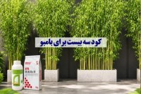 کود سه بیست برای بامبو | مقدار، زمان و روش مصرف بدون سوزاندن ریشه کود سه بیست برای بامبو