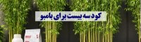 کود سه بیست برای بامبو | مقدار، زمان و روش مصرف بدون سوزاندن ریشه کود سه بیست برای بامبو